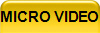 MICRO VIDEO